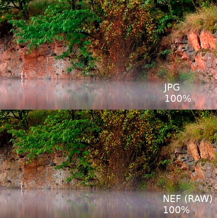 100% cut jpeg vs RAW (NEF)
