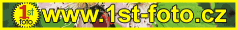 1st-foto :: fotografick&eacute; slu�by