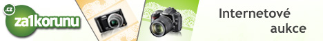 v�hodn� aukce pro v�echny